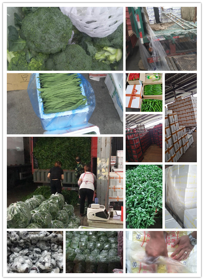 首页- 新宝GG集团创造事业平台