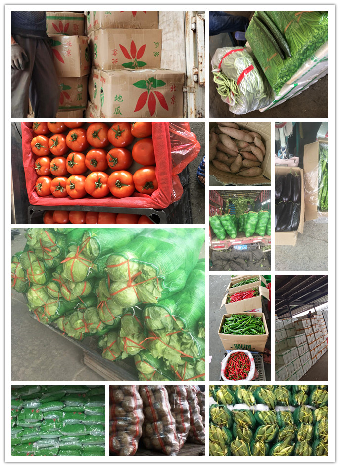 首页- 新宝GG集团创造事业平台