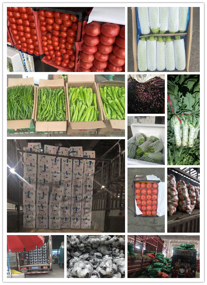 首页- 新宝GG集团创造事业平台