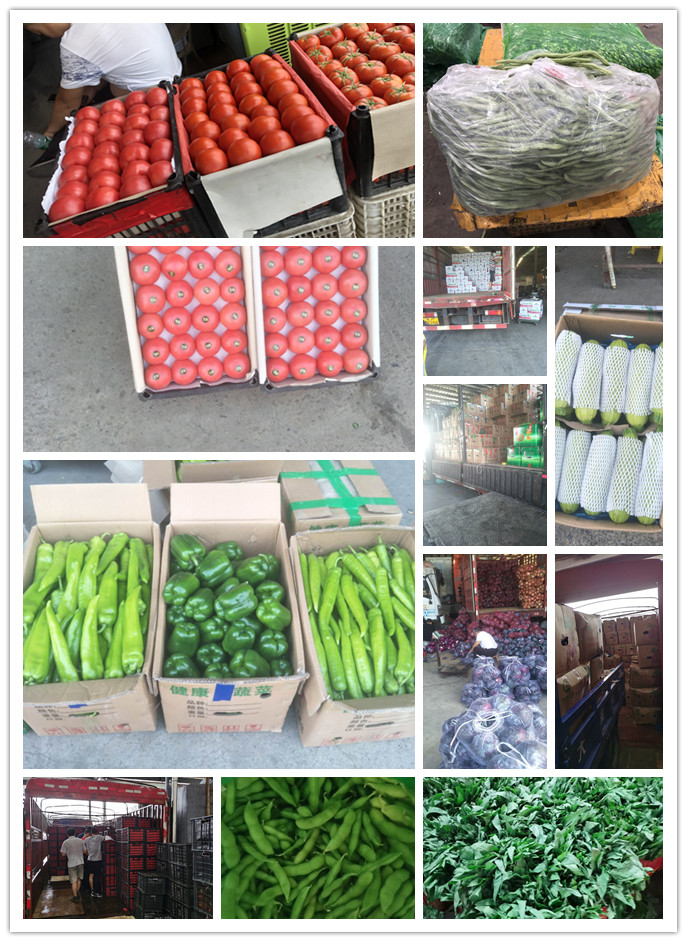 首页- 新宝GG集团创造事业平台