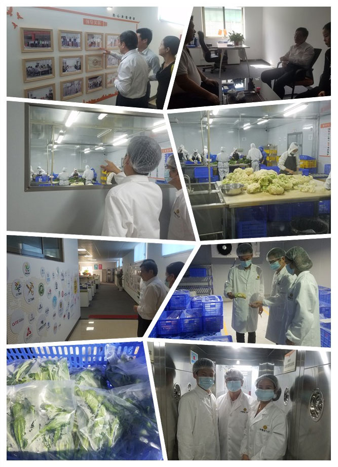 首页- 新宝GG集团创造事业平台