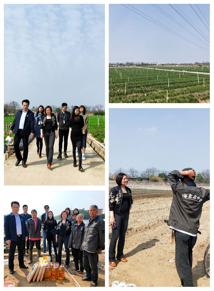 首页- 新宝GG集团创造事业平台