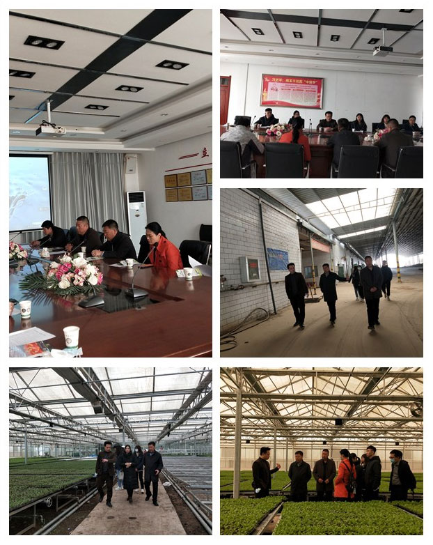 首页- 新宝GG集团创造事业平台