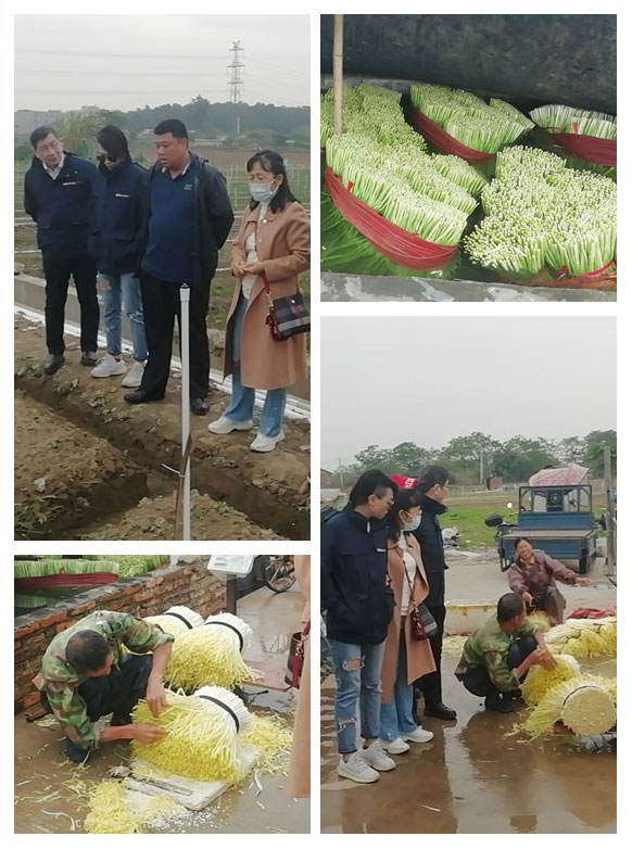 首页- 新宝GG集团创造事业平台