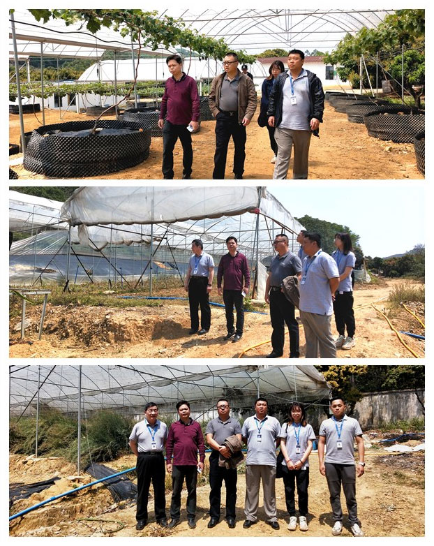 首页- 新宝GG集团创造事业平台