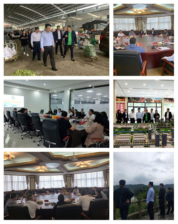 首页- 新宝GG集团创造事业平台