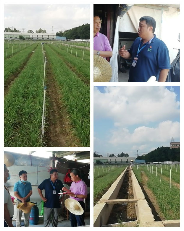 首页- 新宝GG集团创造事业平台