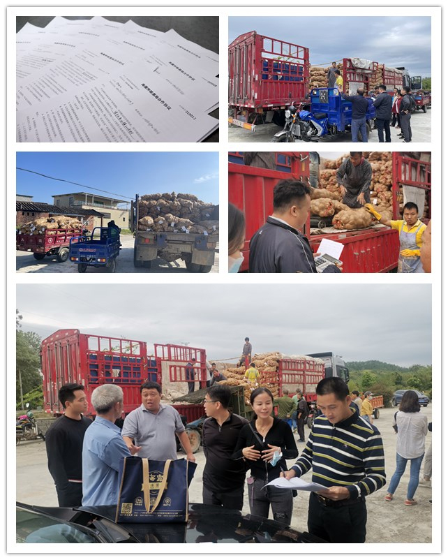 首页- 新宝GG集团创造事业平台