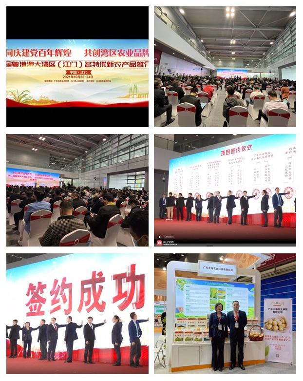 首页- 新宝GG集团创造事业平台