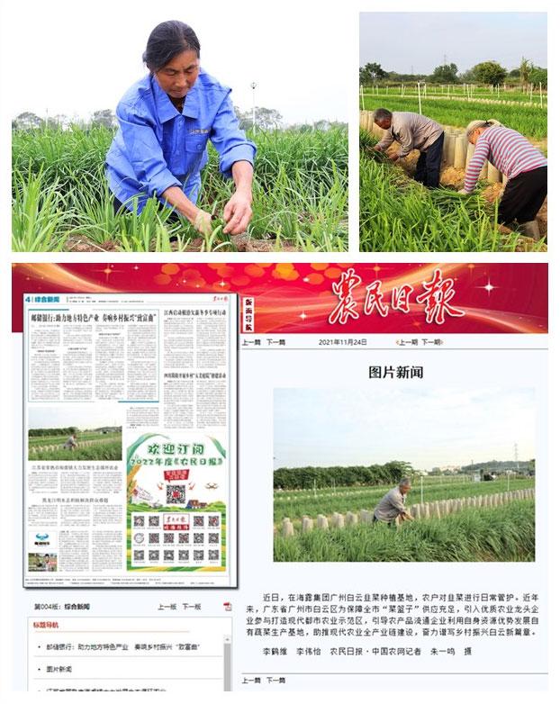 首页- 新宝GG集团创造事业平台