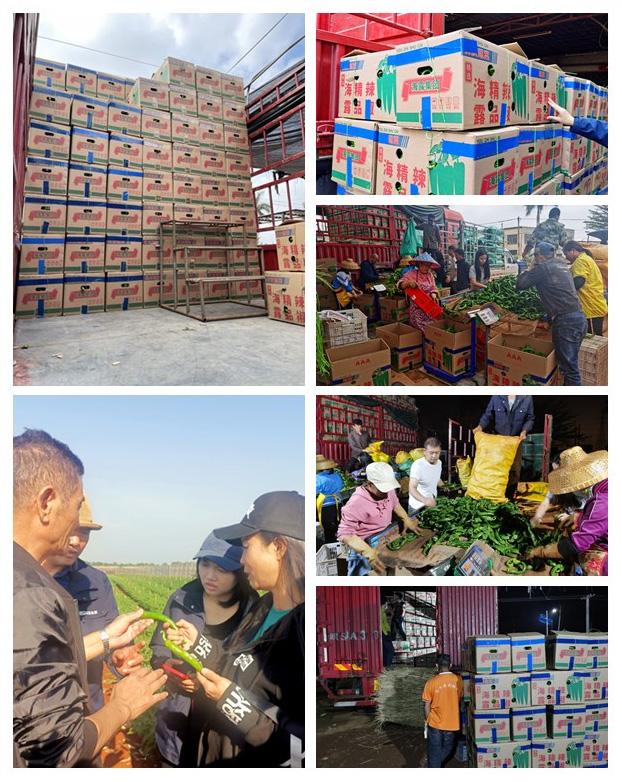 首页- 新宝GG集团创造事业平台