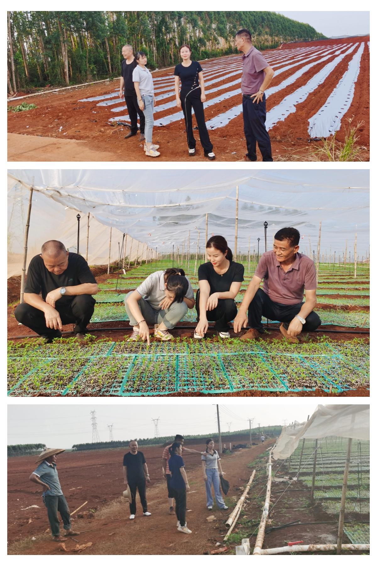 首页- 新宝GG集团创造事业平台