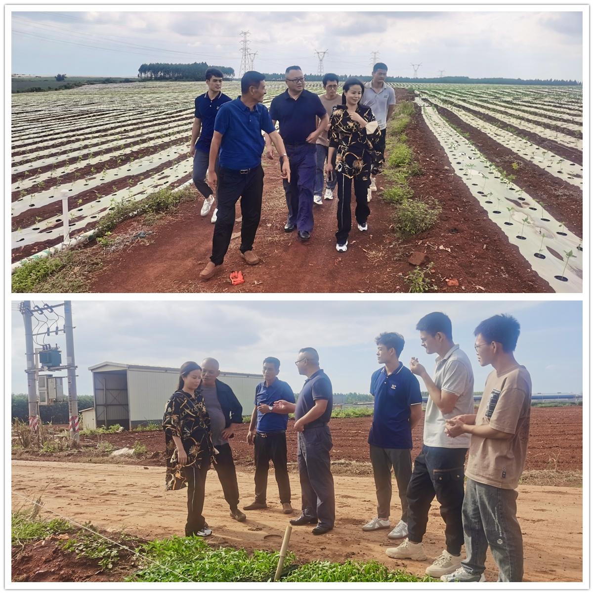 首页- 新宝GG集团创造事业平台