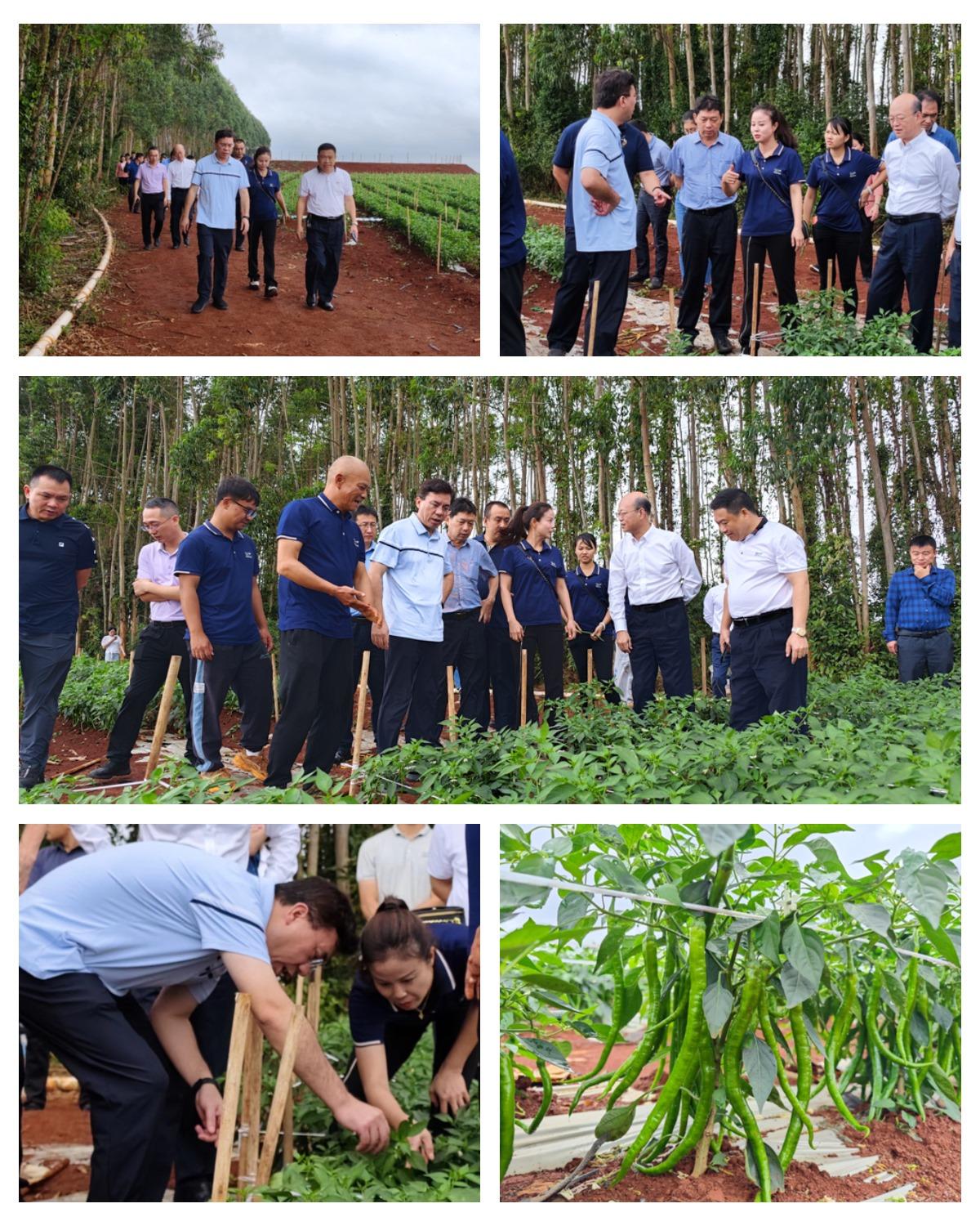 首页- 新宝GG集团创造事业平台