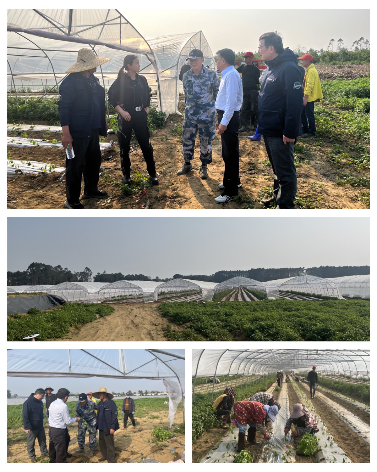 首页- 新宝GG集团创造事业平台