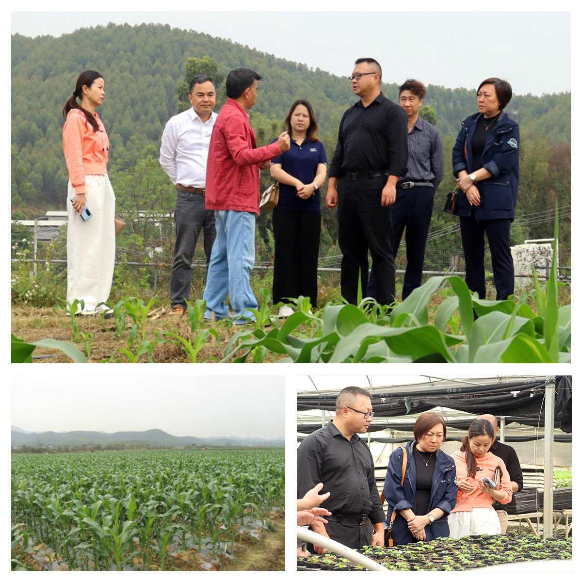 首页- 新宝GG集团创造事业平台