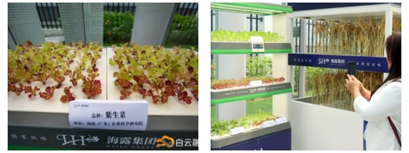 首页- 新宝GG集团创造事业平台