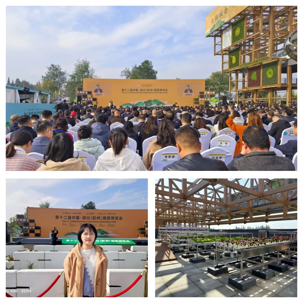 首页- 新宝GG集团创造事业平台