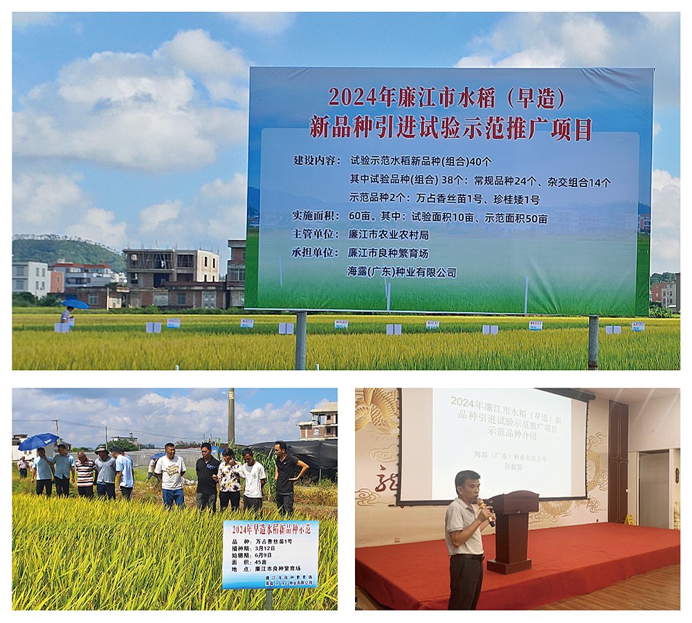 首页- 新宝GG集团创造事业平台