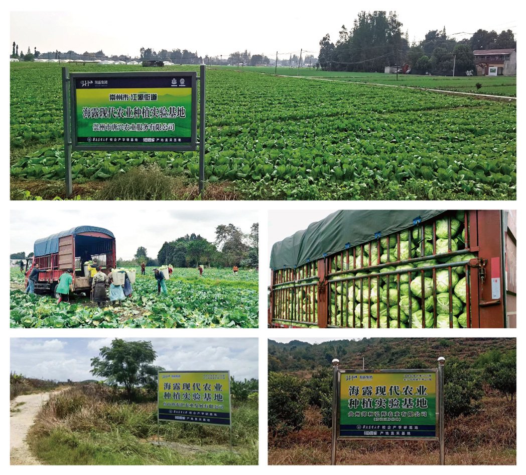 首页- 新宝GG集团创造事业平台