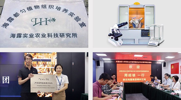 首页- 新宝GG集团创造事业平台