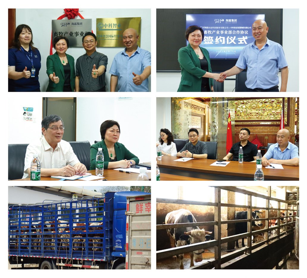 首页- 新宝GG集团创造事业平台