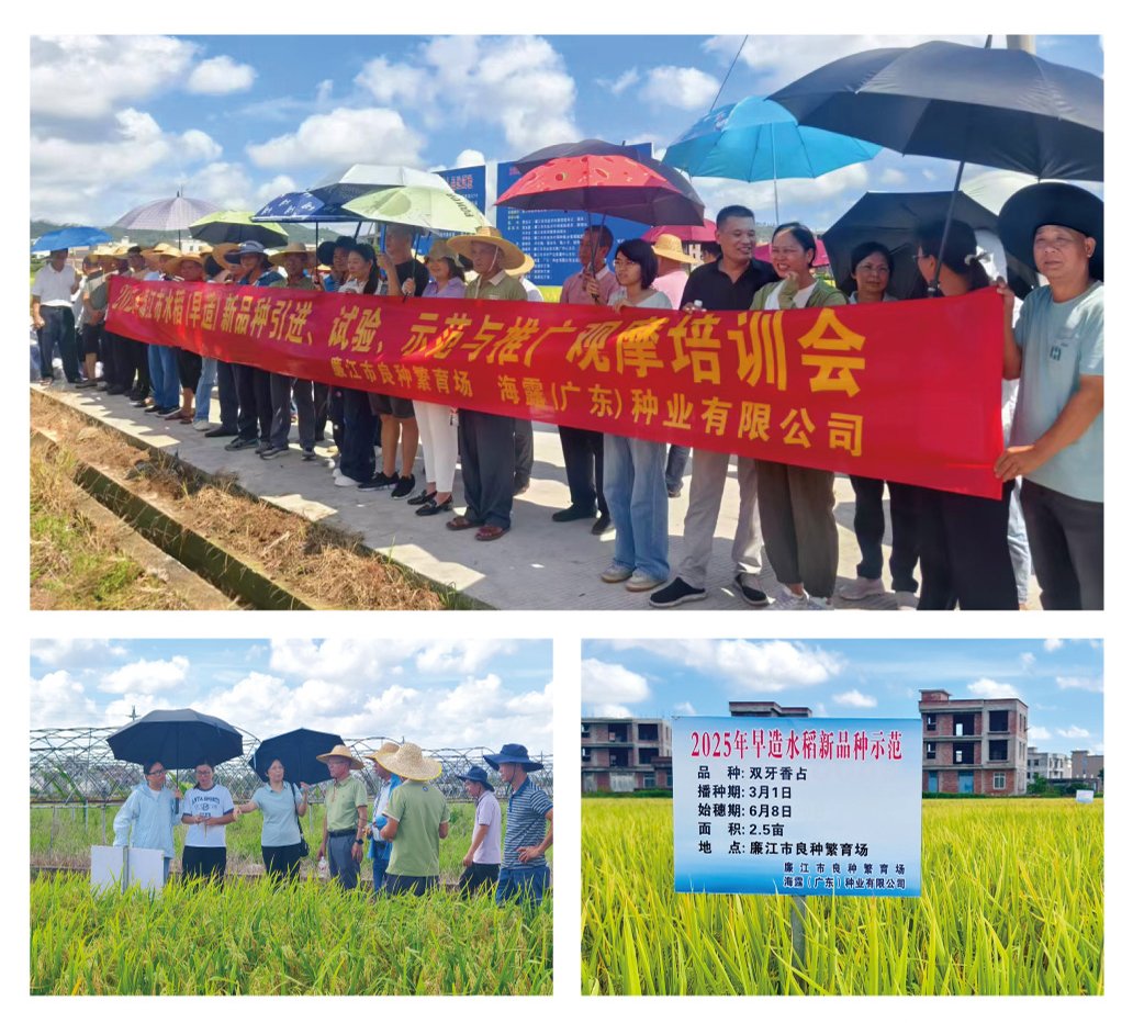 首页- 新宝GG集团创造事业平台