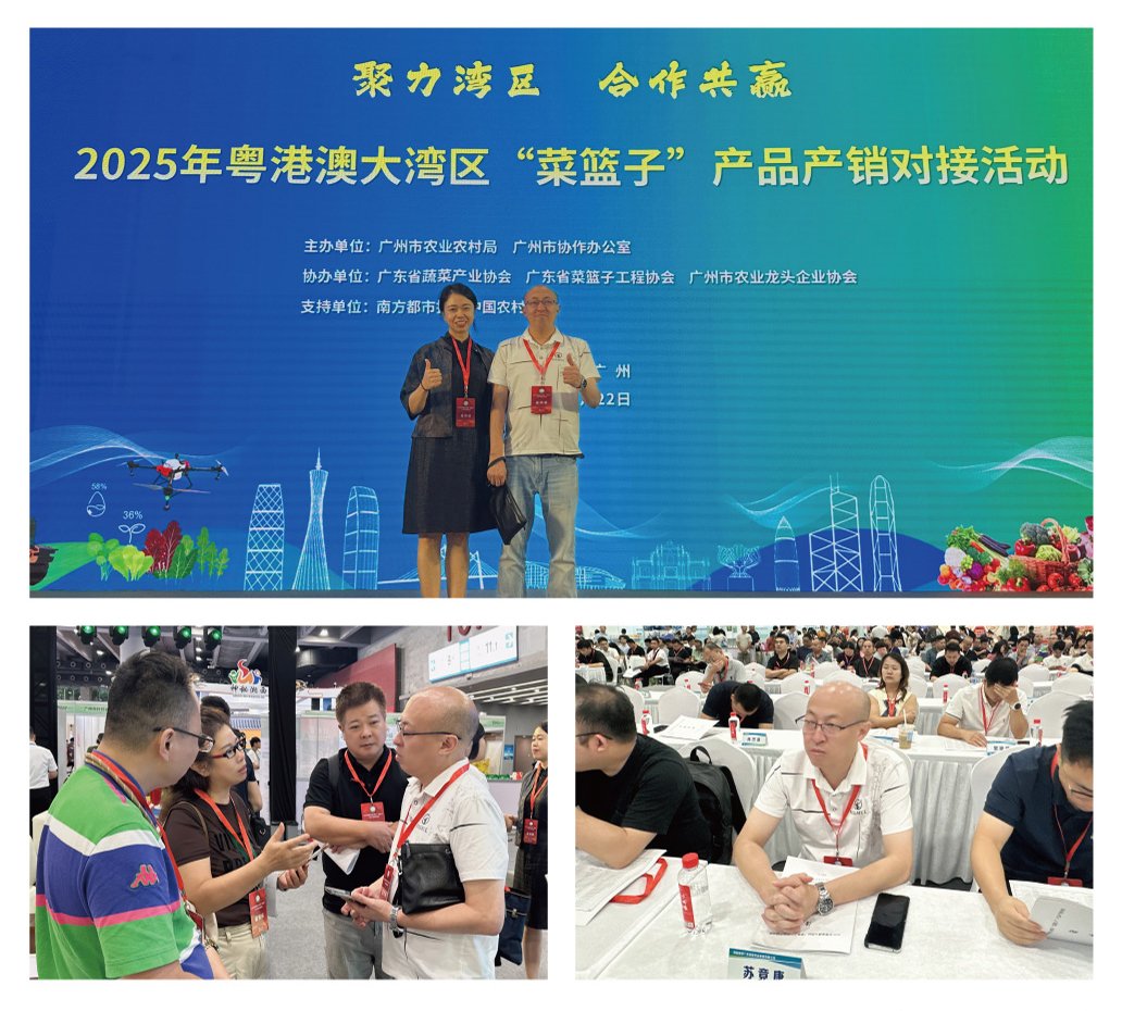 首页- 新宝GG集团创造事业平台