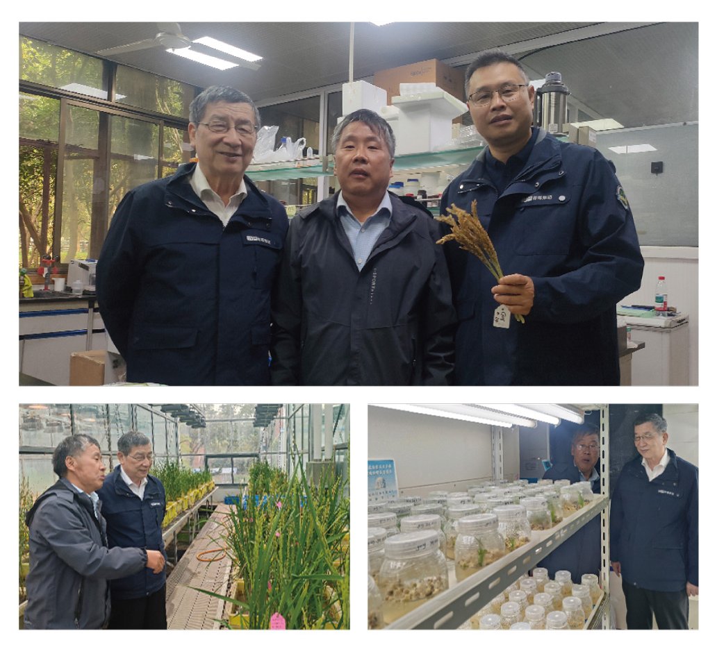 首页- 新宝GG集团创造事业平台