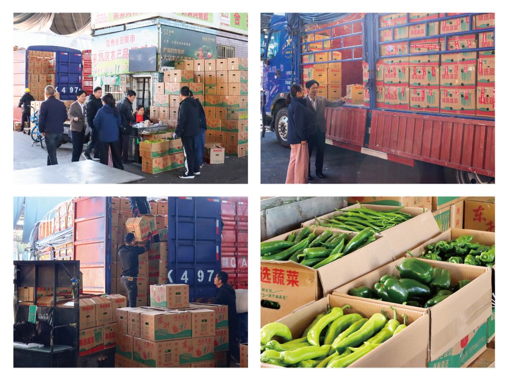 首页- 新宝GG集团创造事业平台